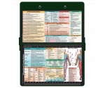WhiteCoat Clipboard® - Green Occupational Therapy Edition
